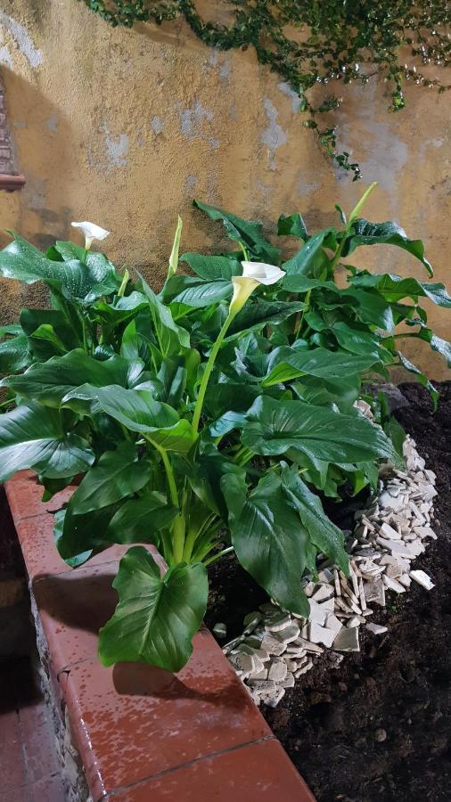 Il Giardino Sul Corso Apartment Scafati Ngoại thất bức ảnh