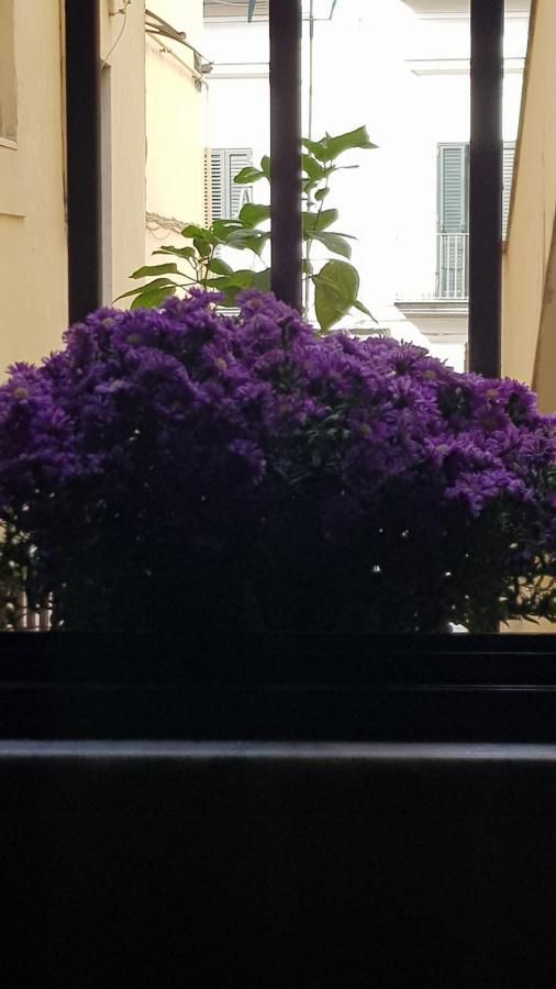 Il Giardino Sul Corso Apartment Scafati Ngoại thất bức ảnh