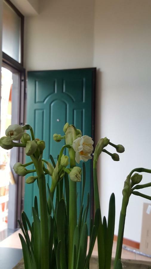 Il Giardino Sul Corso Apartment Scafati Ngoại thất bức ảnh