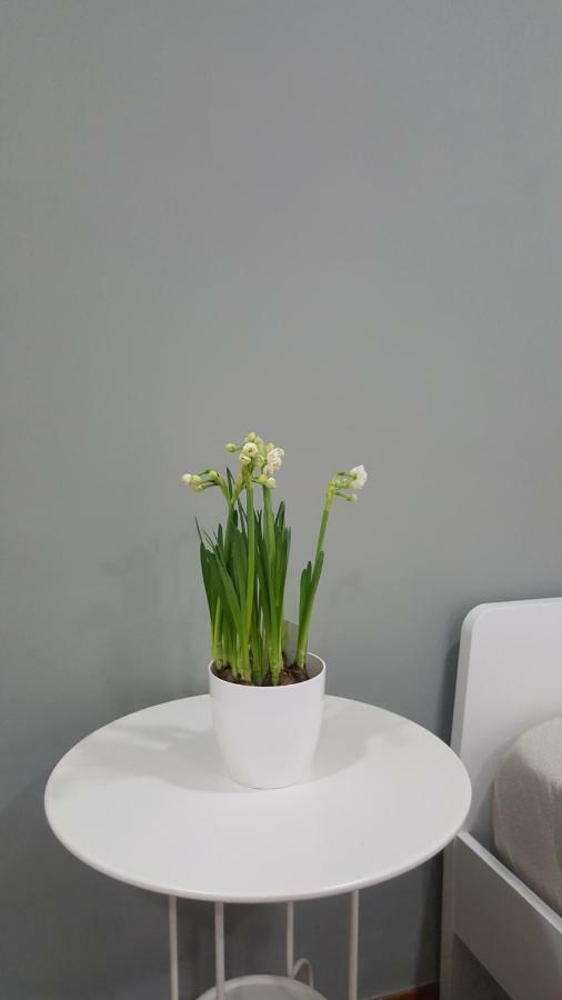 Il Giardino Sul Corso Apartment Scafati Ngoại thất bức ảnh